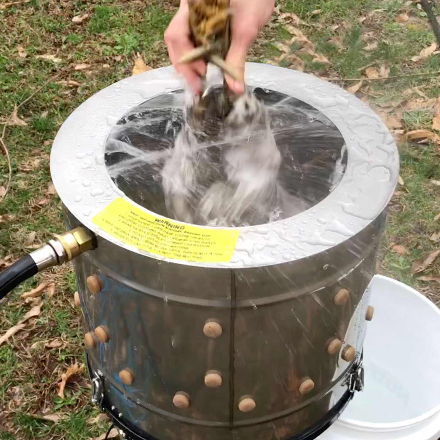 Insert chicken into tub