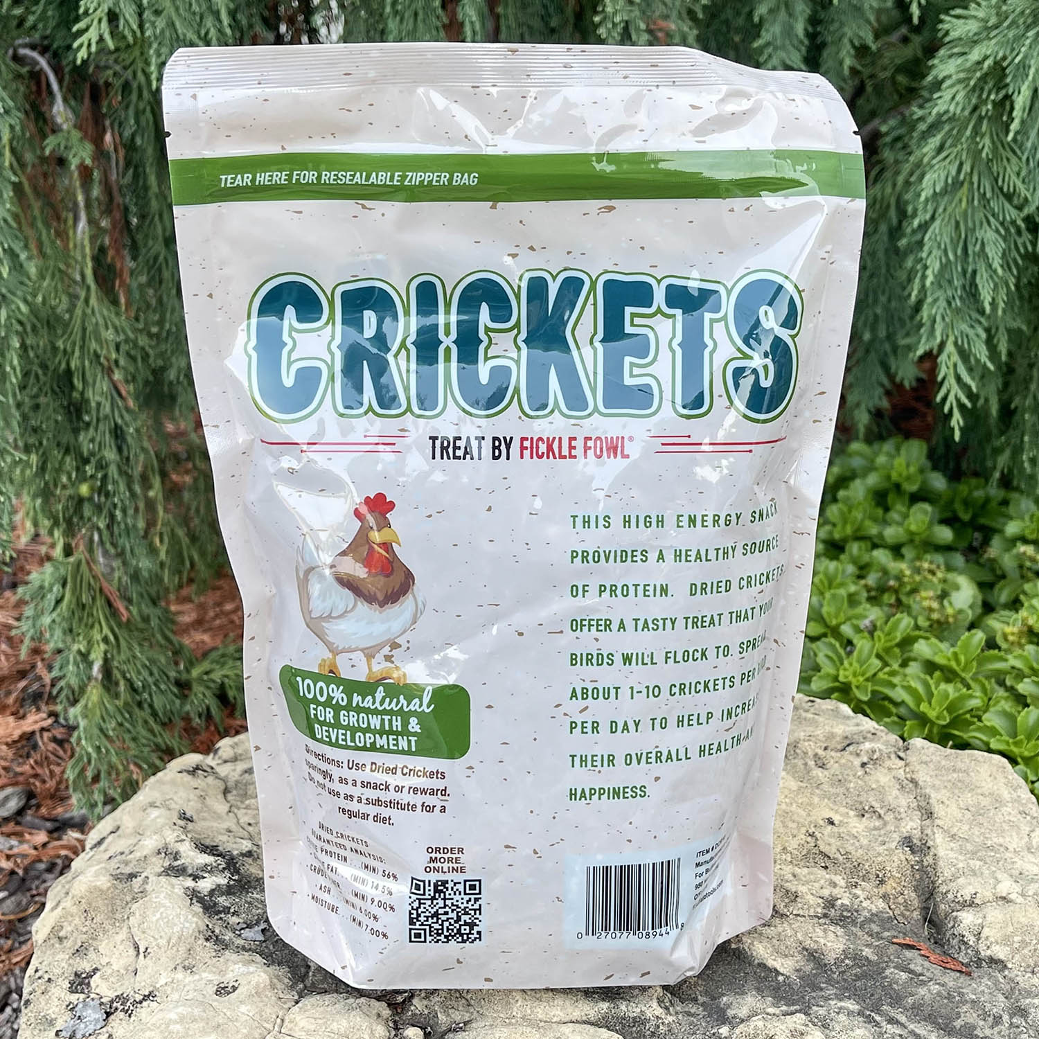 Dried Crickets Treat 10 oz Bag