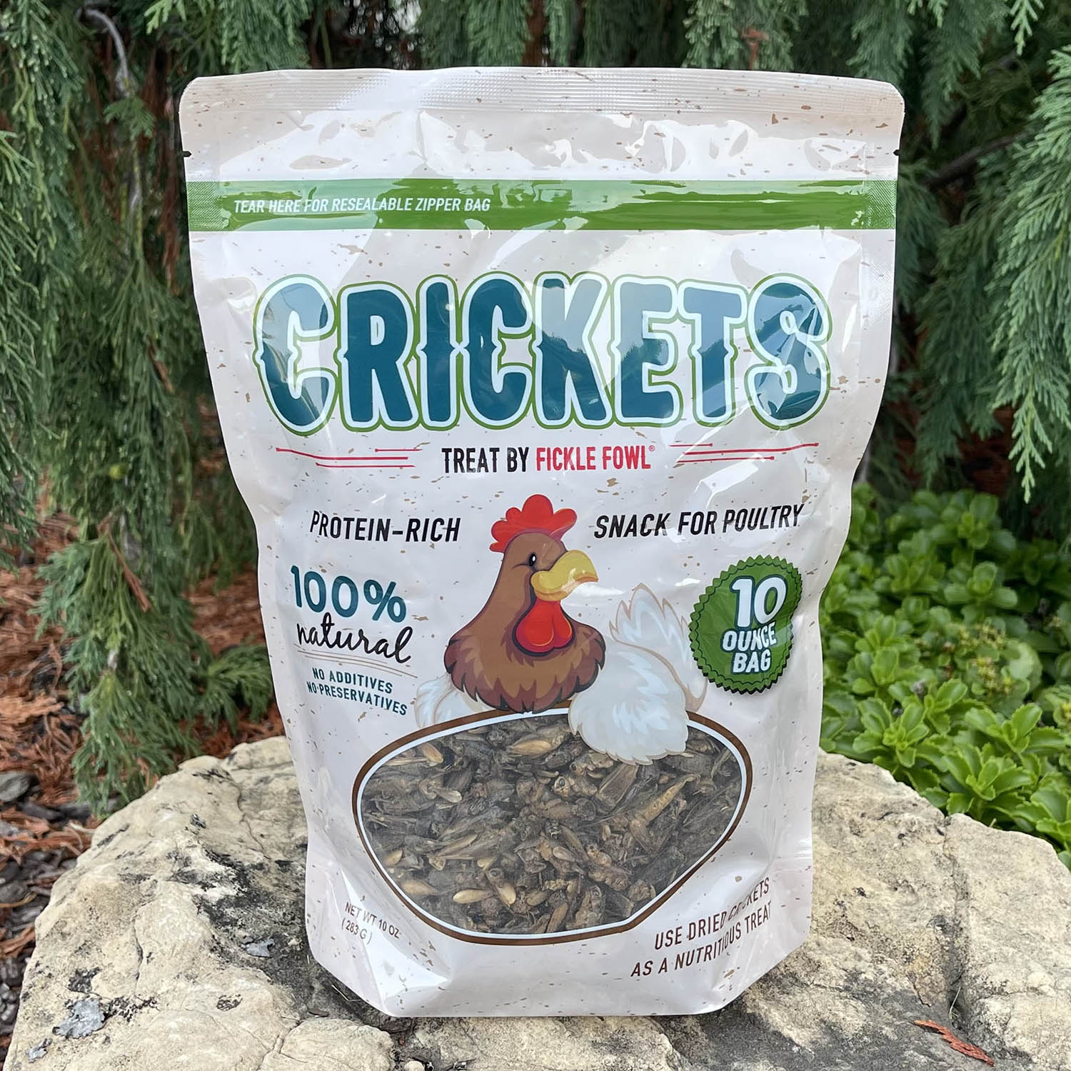 Dried Crickets Treat 10 oz Bag