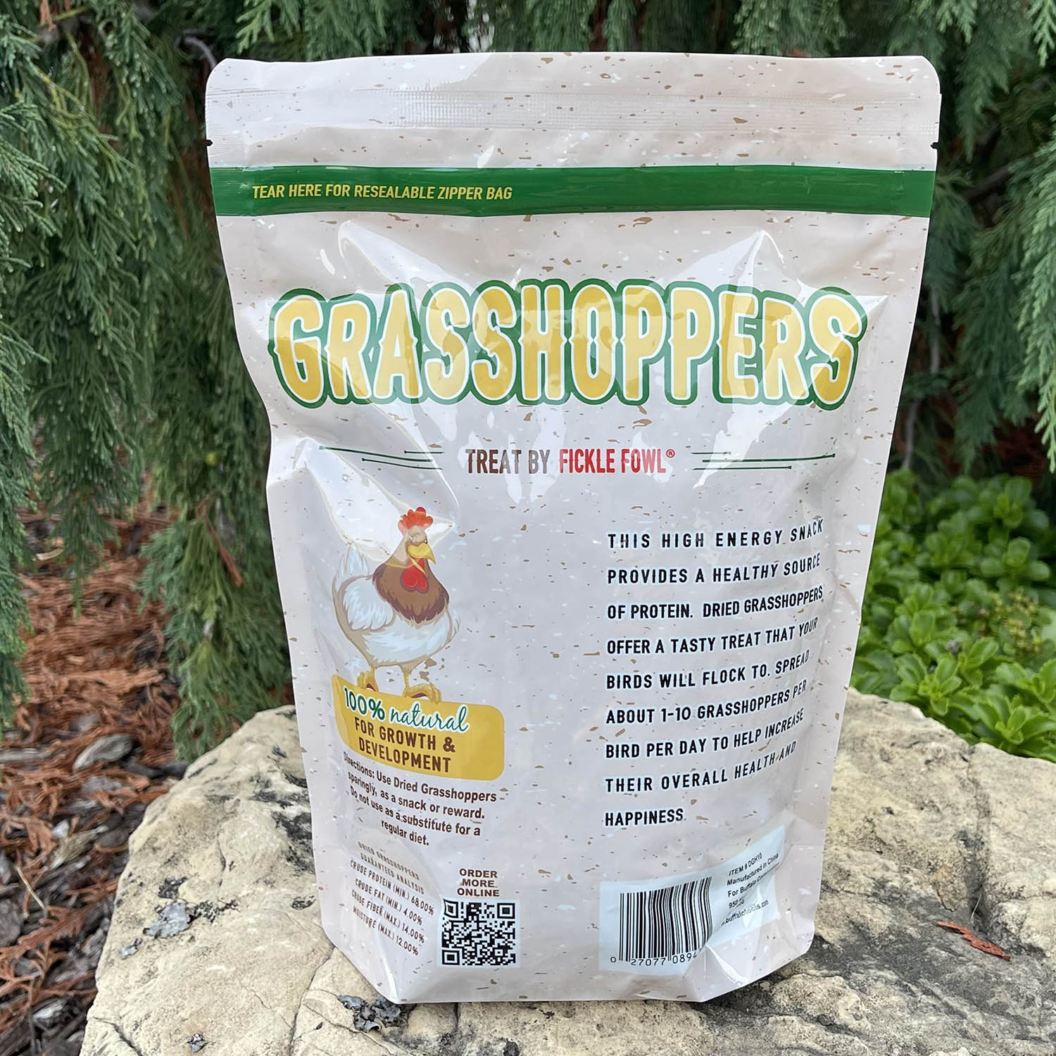 Dried Grasshoppers