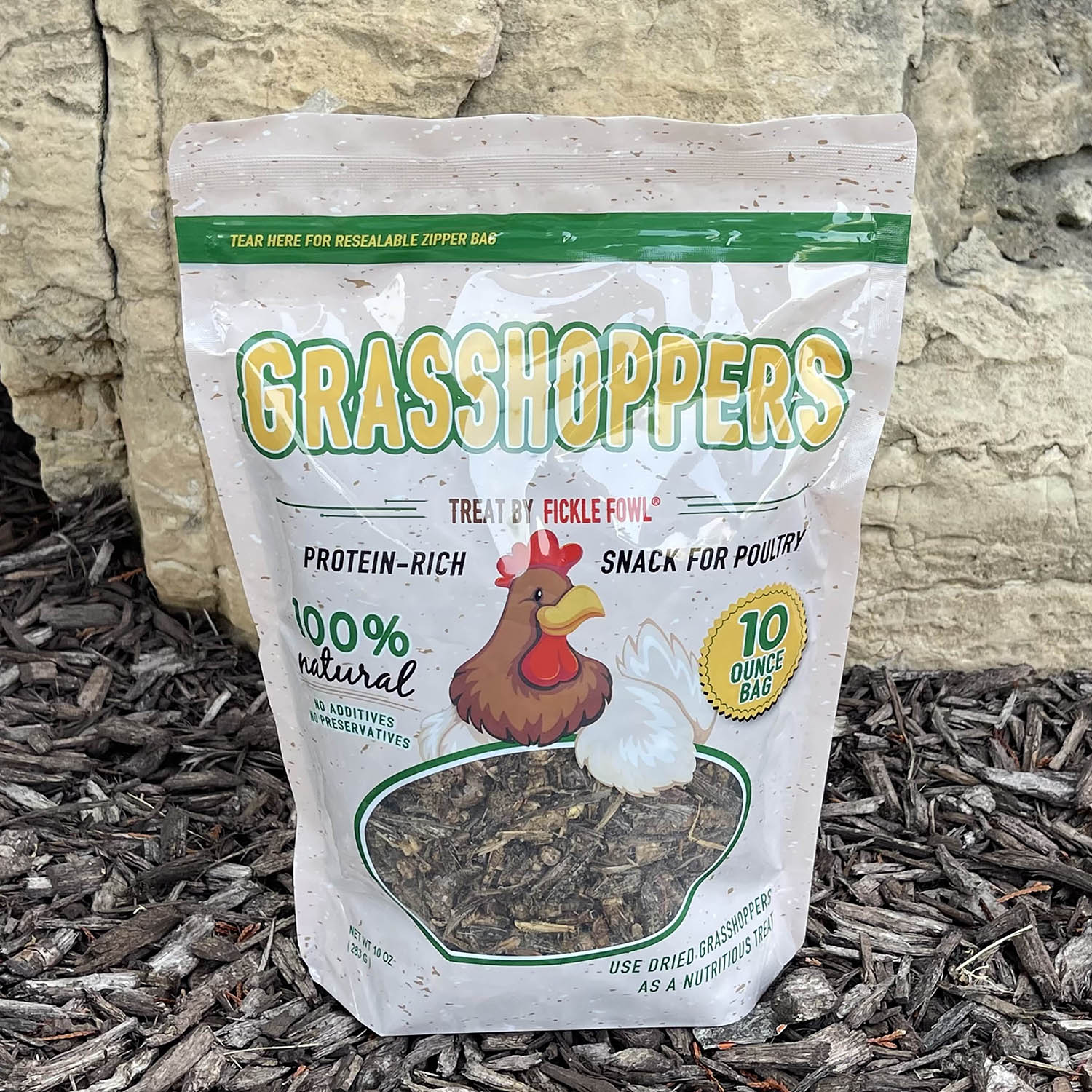 Dried Grasshoppers