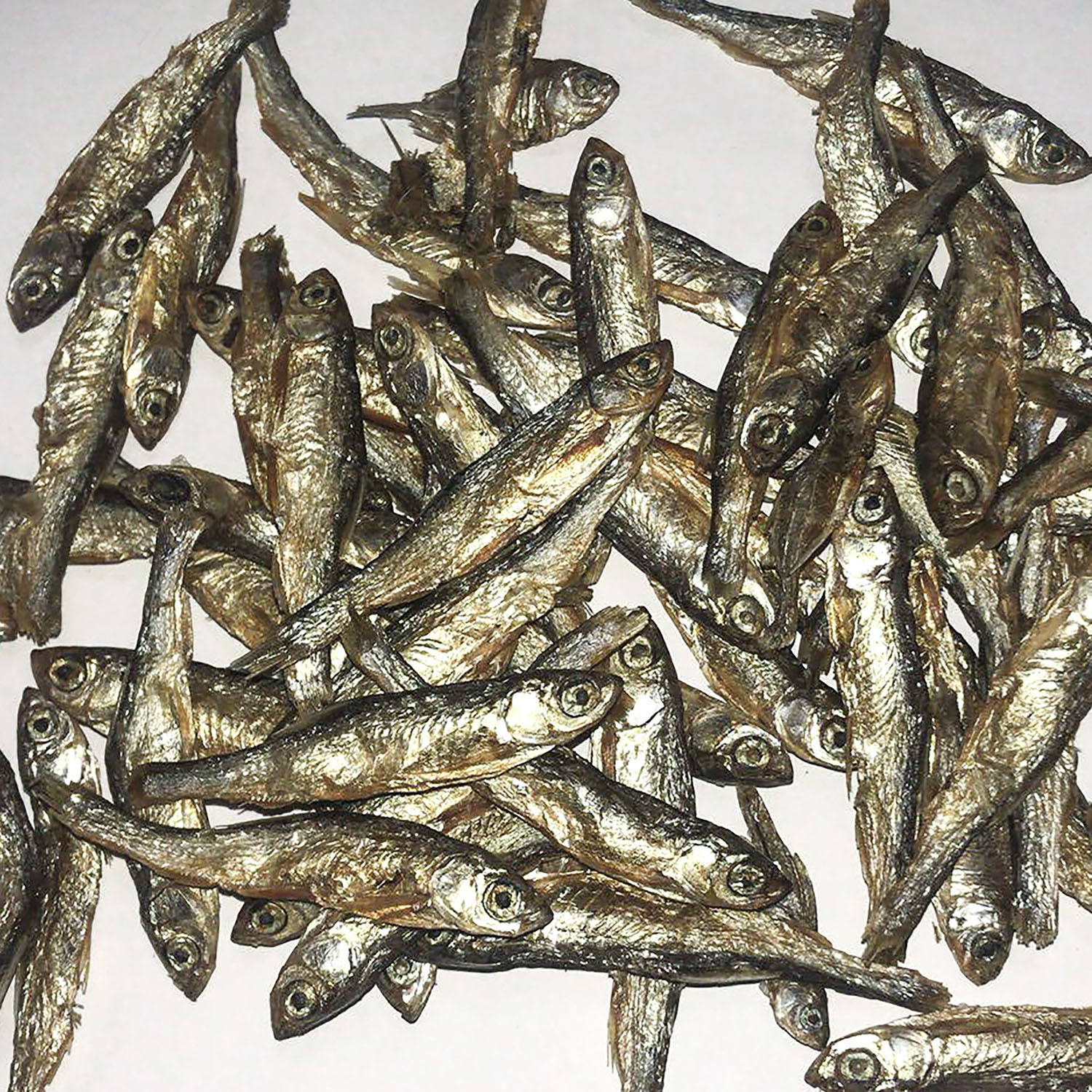 Dried Minnows 10 oz bag