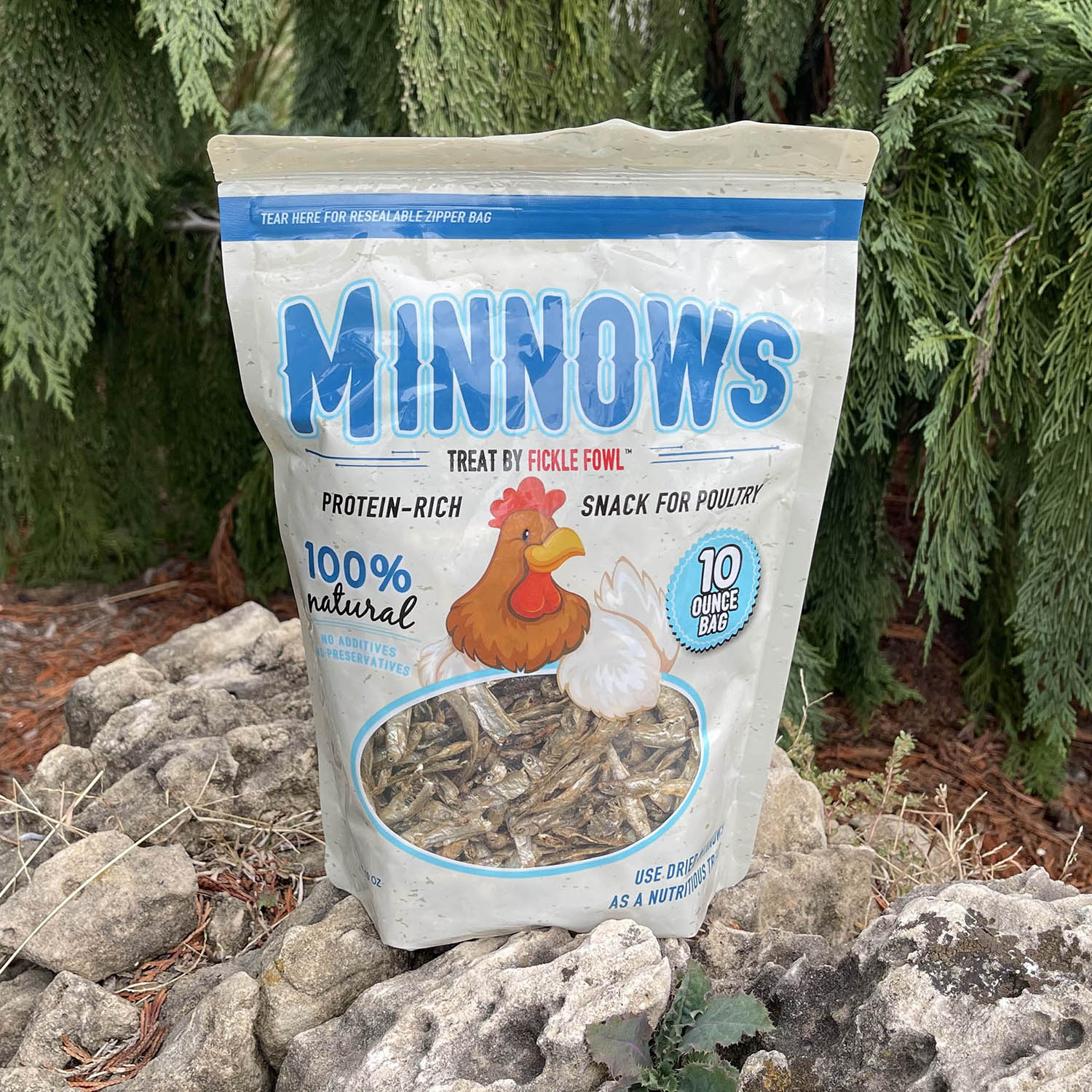 Dried Minnows 10 oz bag
