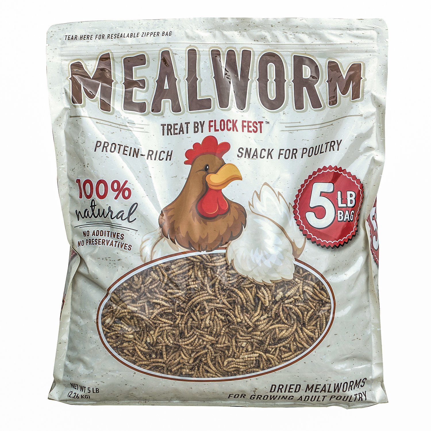 Dried Mealworms