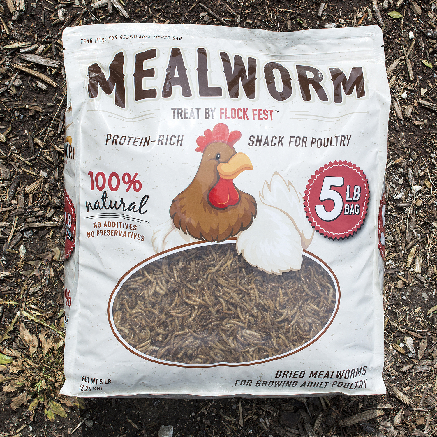 Dried Mealworms
