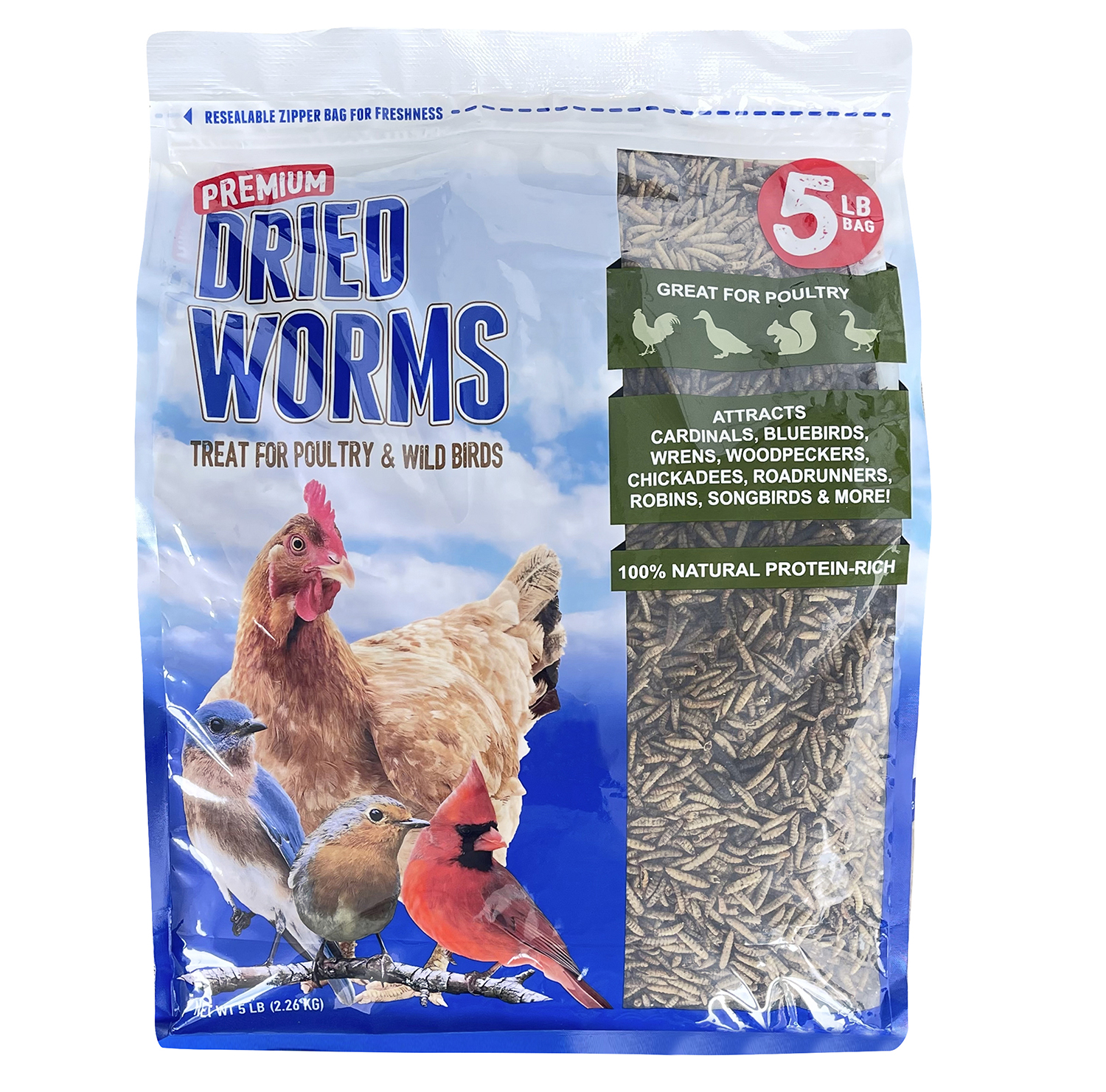 Dried Worms