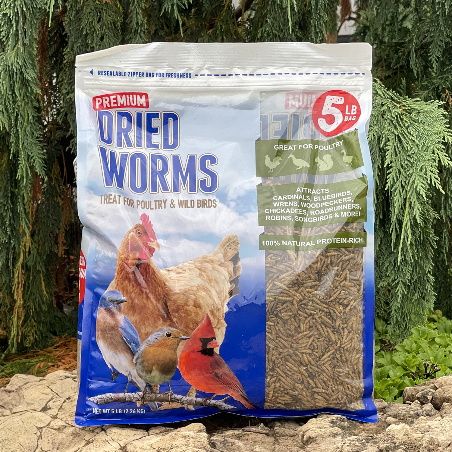 Premium Dried Worms