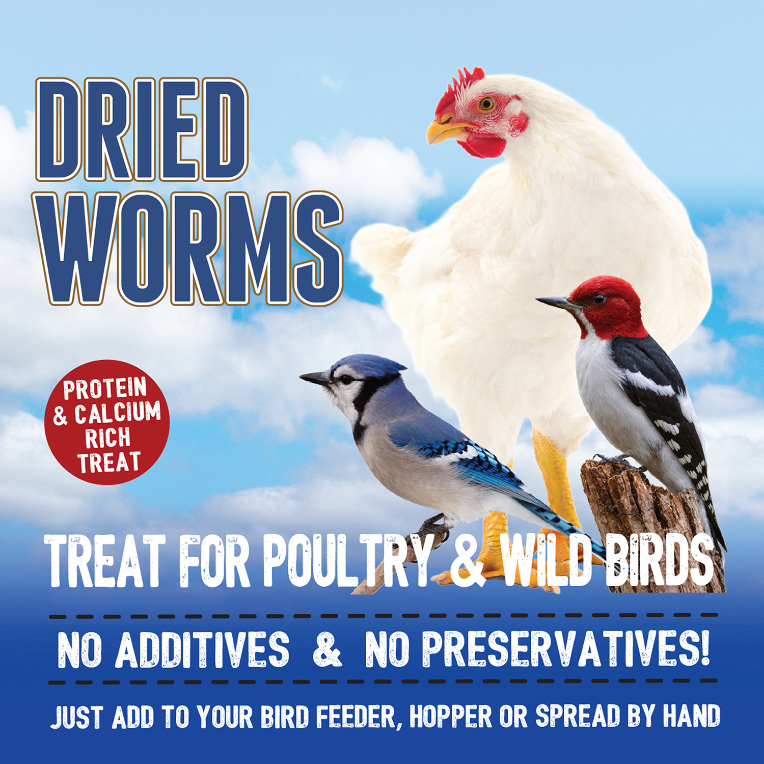 Premium Dried Worms