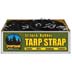 TSTRAP31
