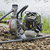 WPUMP1