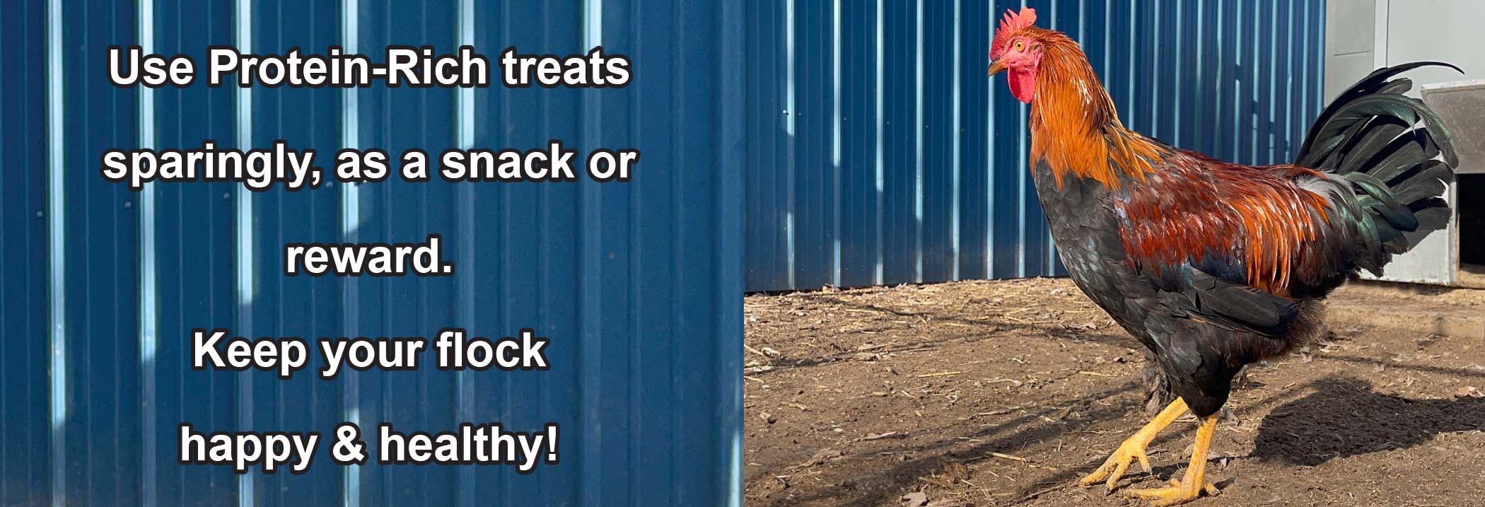 Poultry and Wild Bird Treats