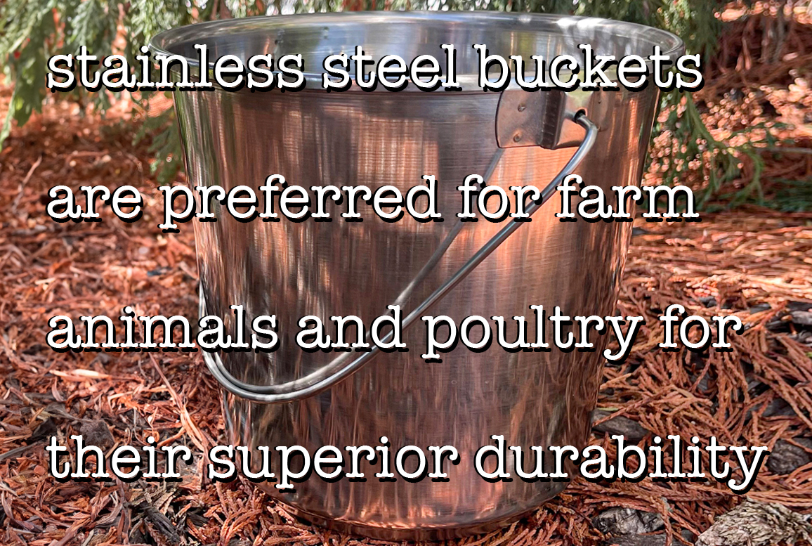 Stainless steel buckets for farm use are durable for poultry use.