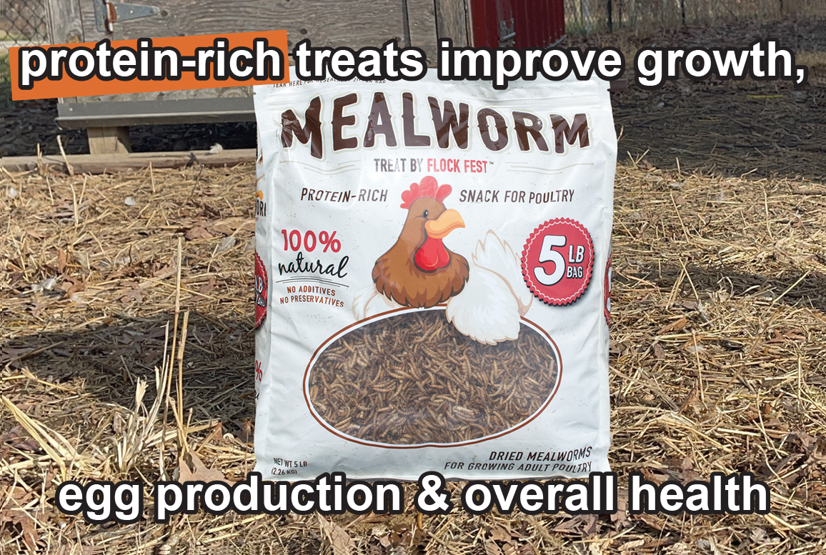 Dried Mealworms for Chickens & Geese