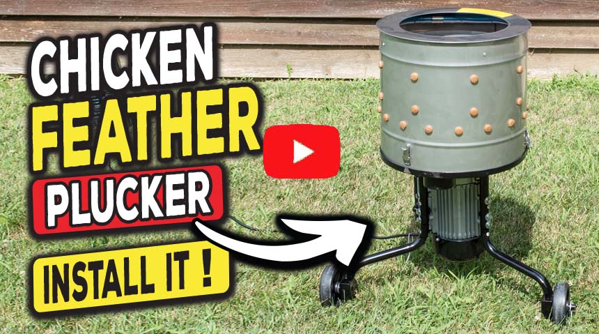 Chicken feather pluckers