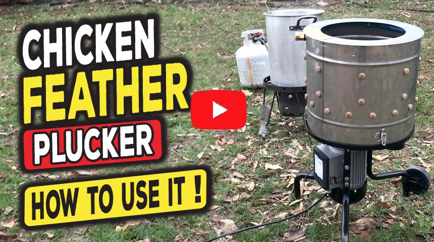 Chicken feather plucker